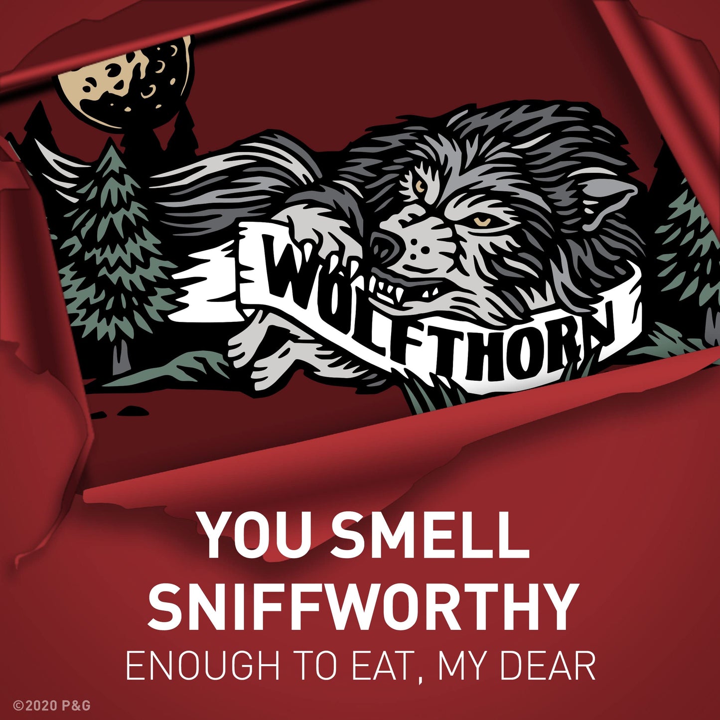 Old Spice Deodorant Wolfthorn 50ml