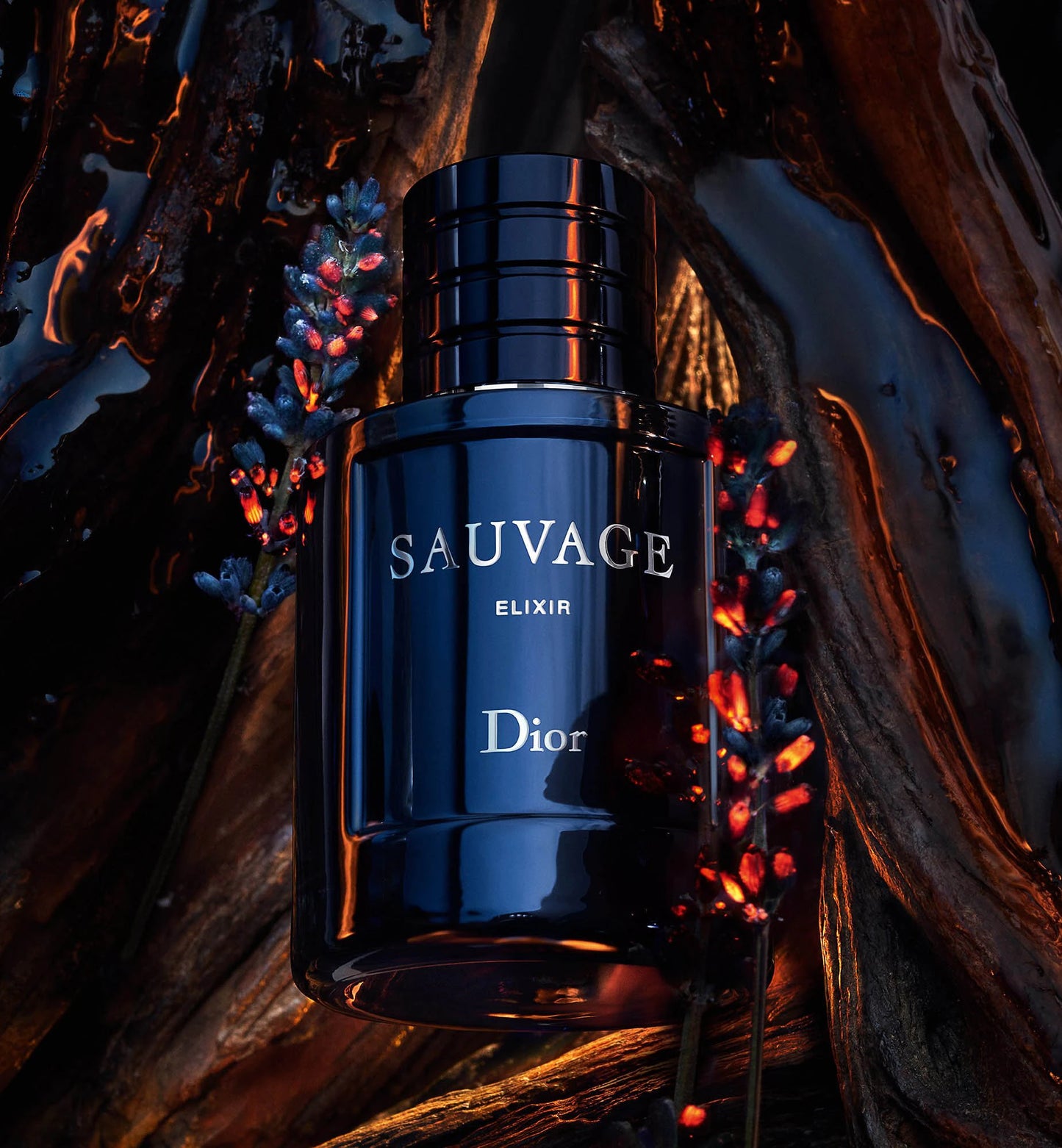 Christian Dior Sauvage Elixir - for men