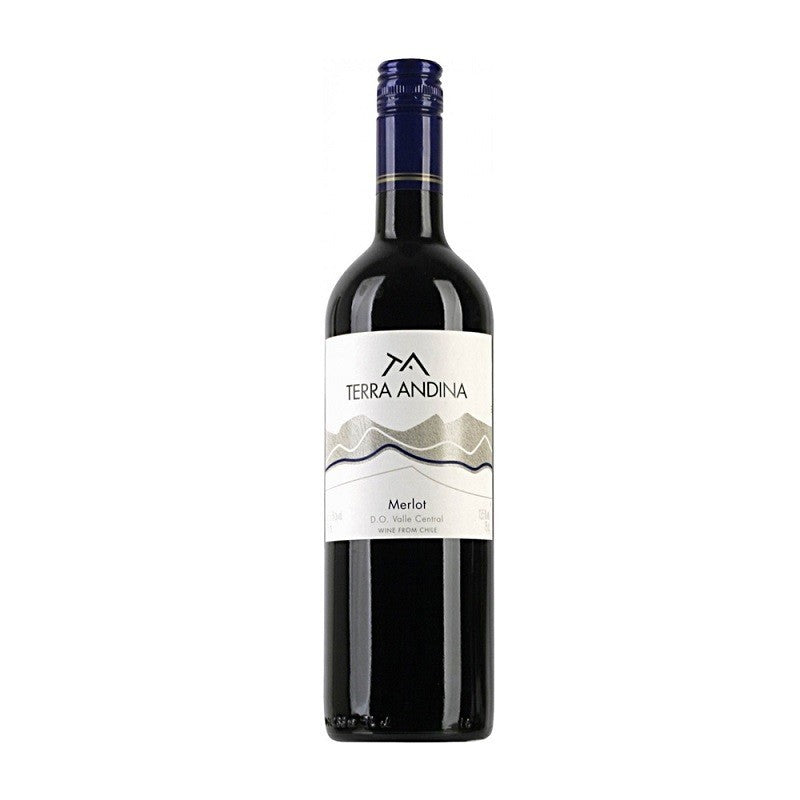 Terra Andina Carmenere 2021 750 ml