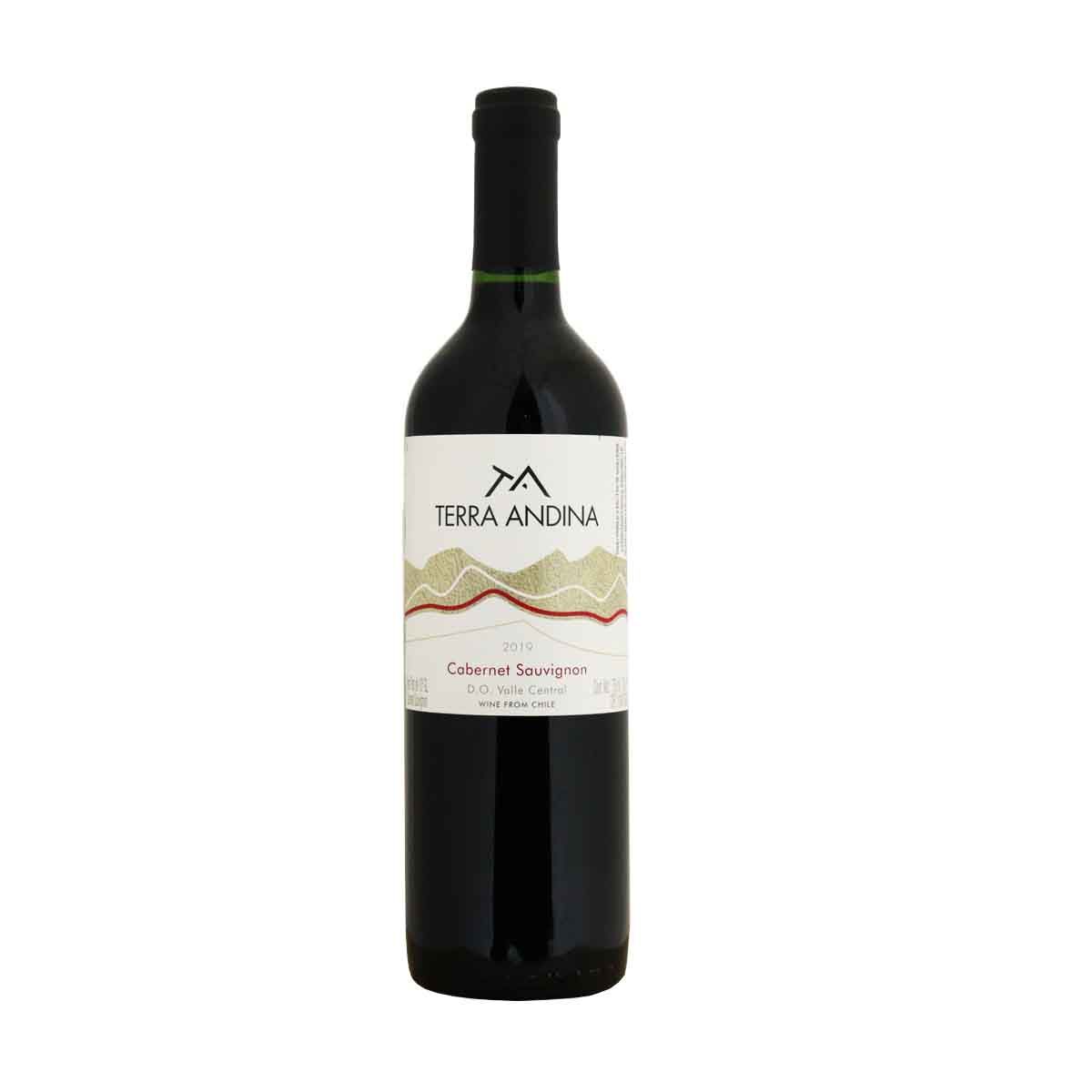 Terra Andina Cabernet Sauvignon 2021 750 ml