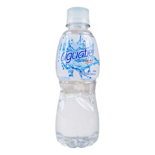 Aguafiel agua mineral 330 ml