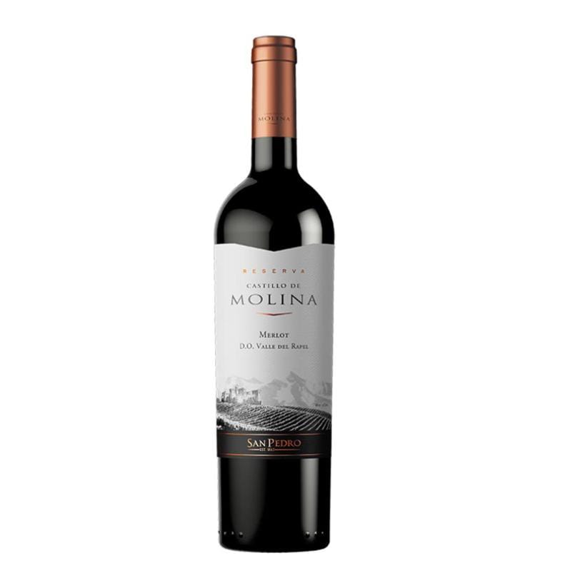 Castillo de Molina Reserva Carmenere 2022 0,75 L